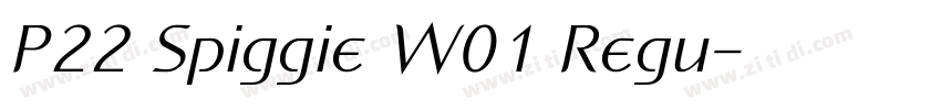 P22 Spiggie W01 Regu字体转换